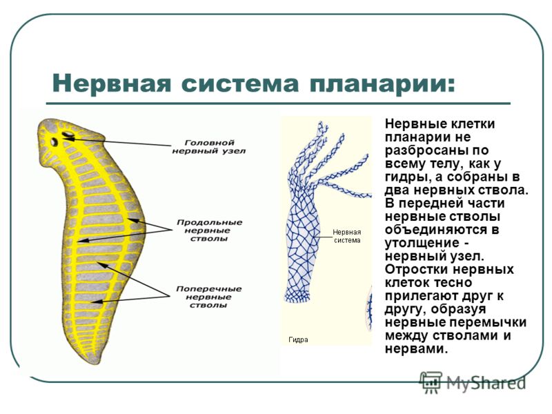 Кракен даркен