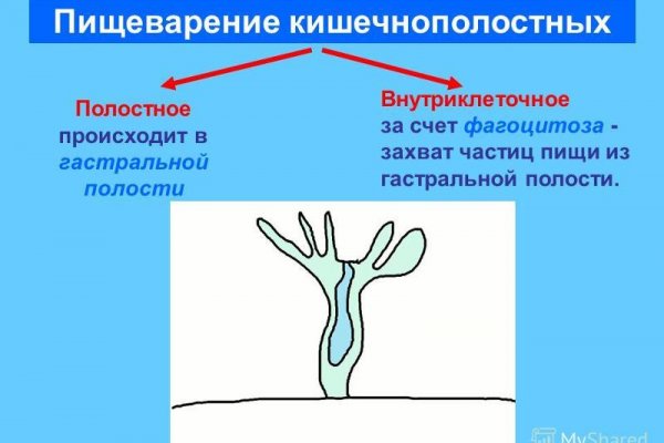 Почему не заходит на кракен