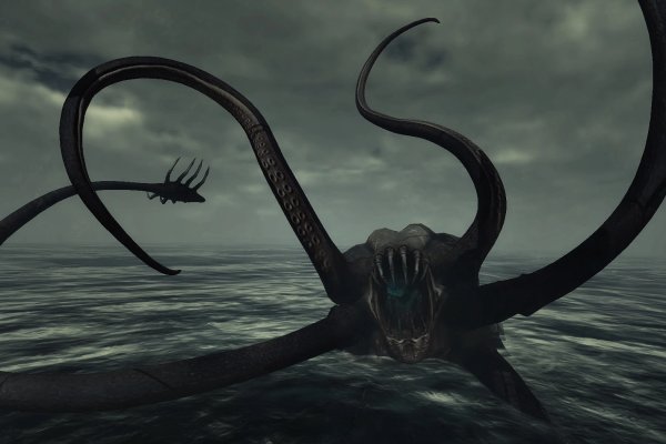 Kraken где